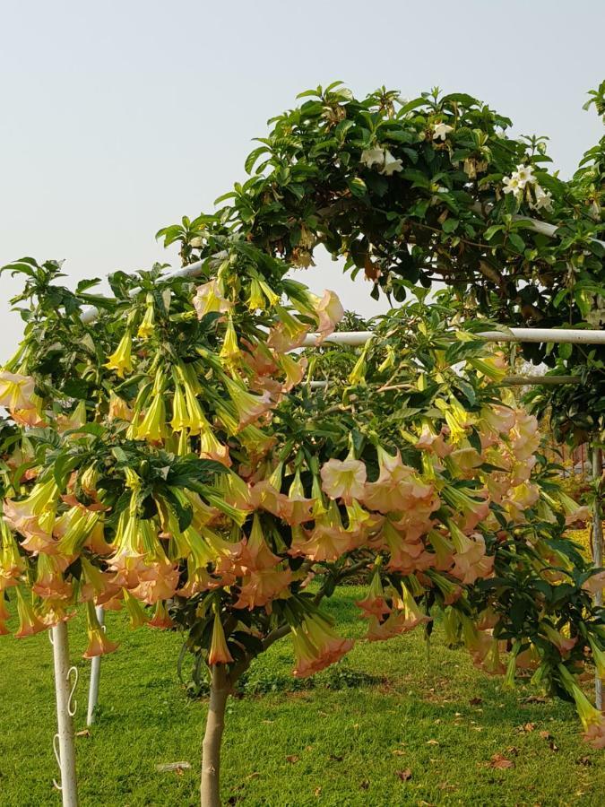 شقة لوساكا  في Summer Pines المظهر الخارجي الصورة